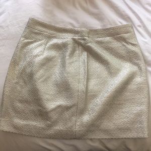 Silver skirt